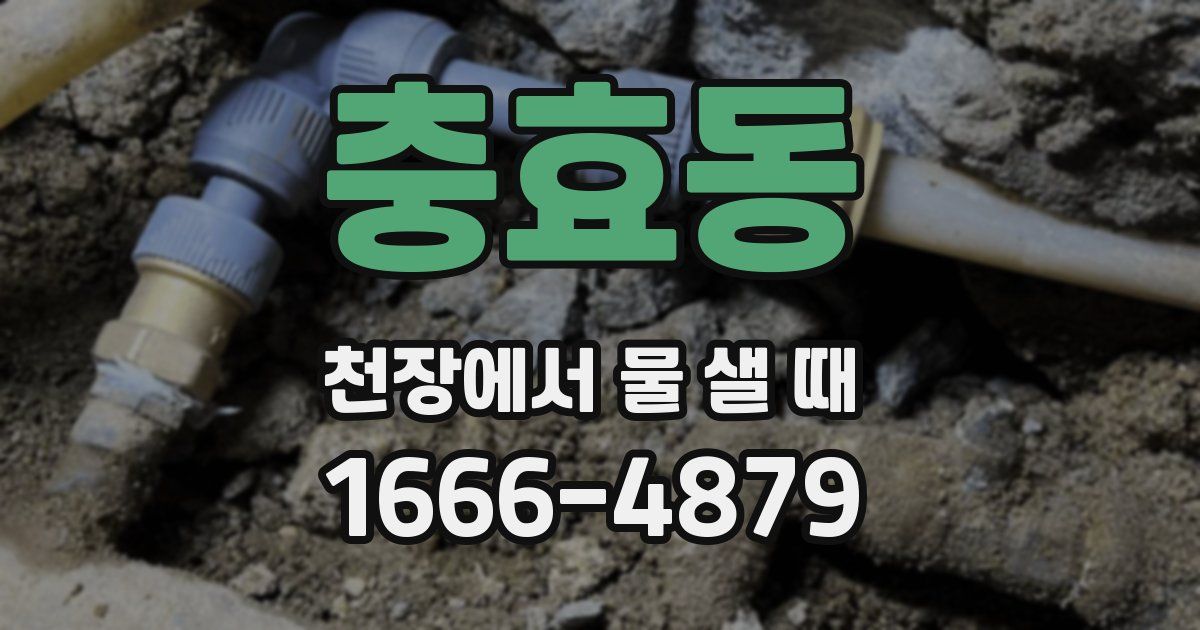 충효동 천장에서 물 샐 때