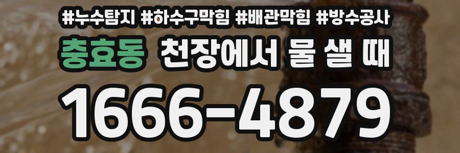 충효동 천장에서 물 샐 때