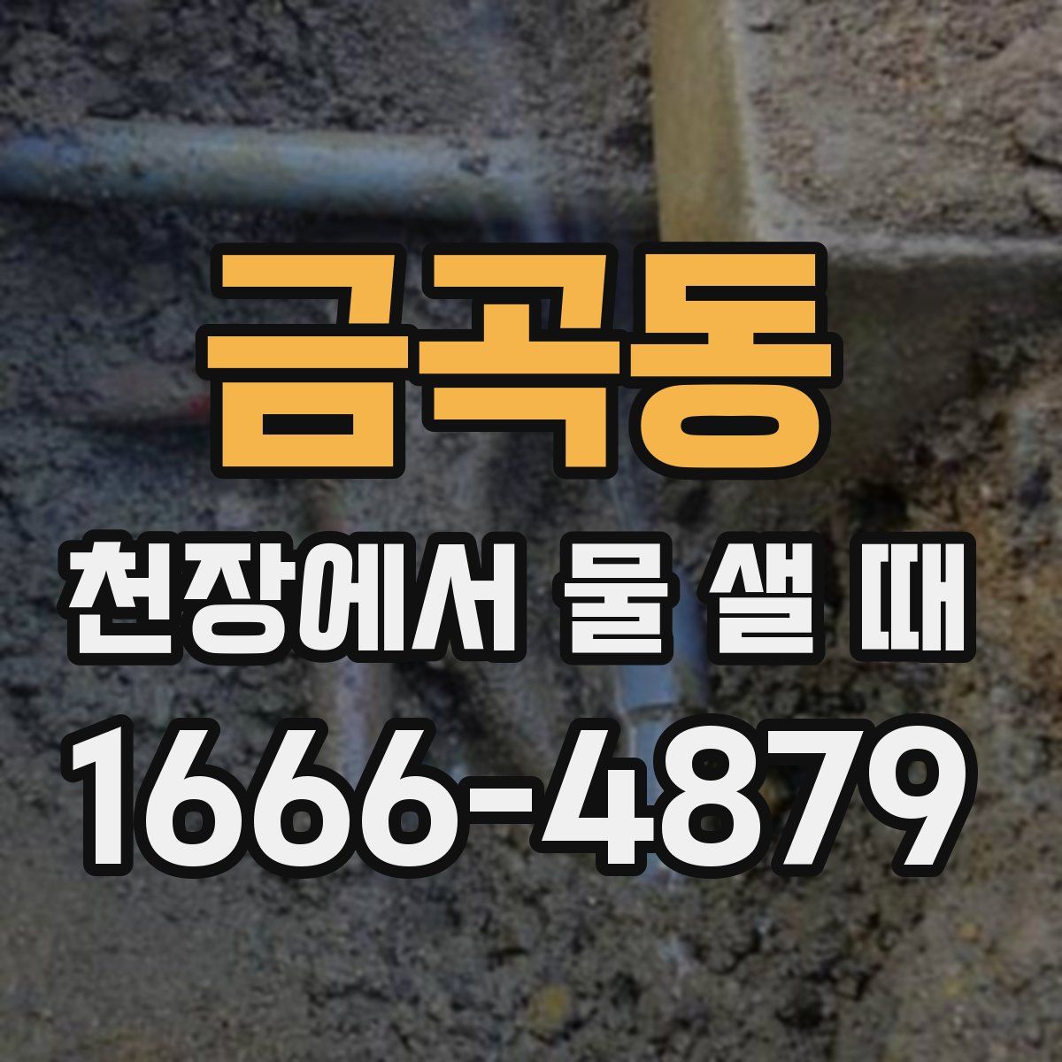 금곡동 천장에서 물 샐 때