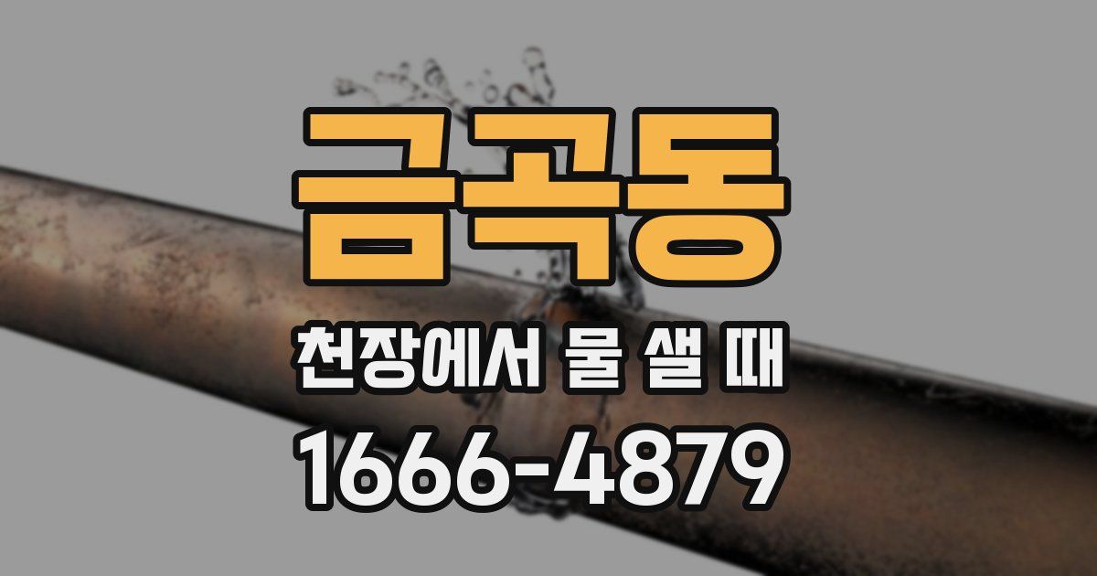 금곡동 천장에서 물 샐 때