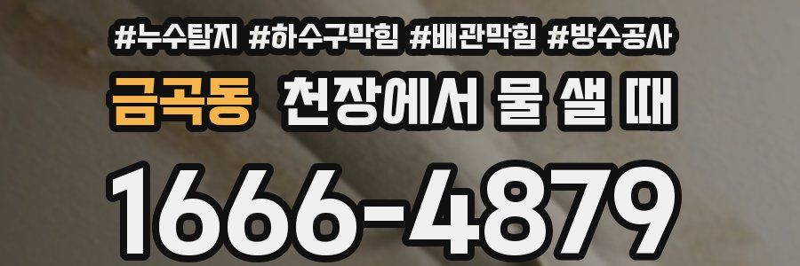 금곡동 천장에서 물 샐 때