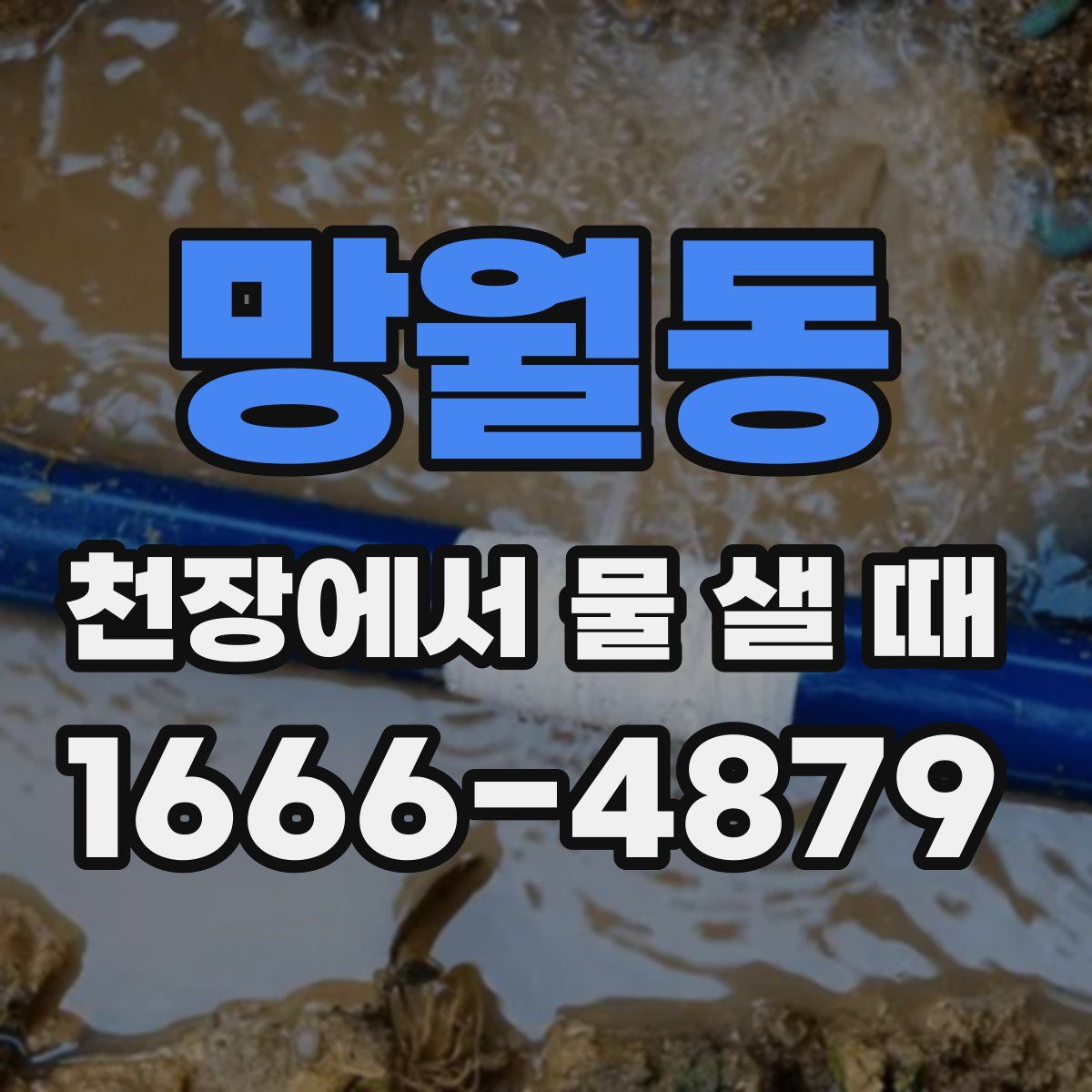 망월동 천장에서 물 샐 때
