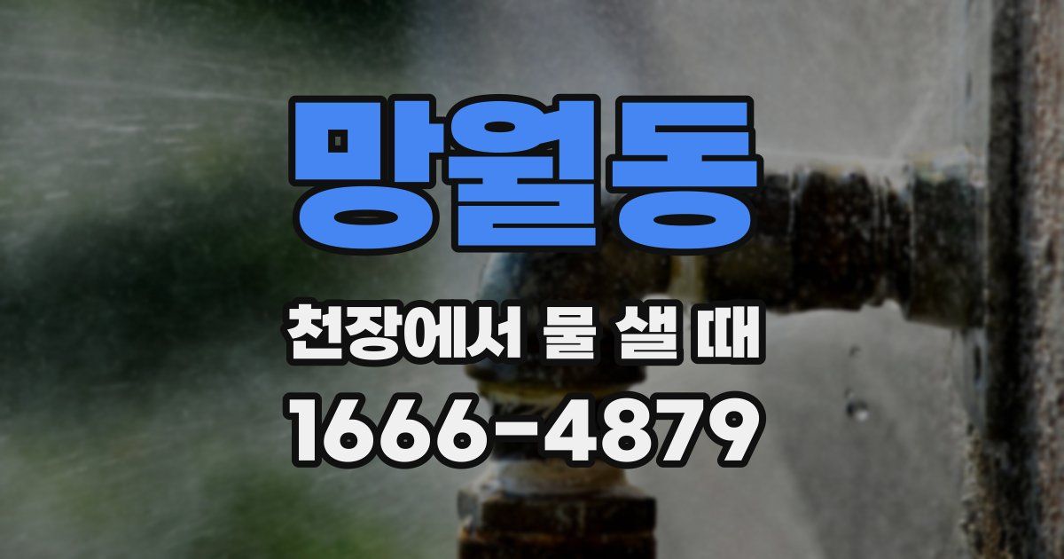 망월동 천장에서 물 샐 때
