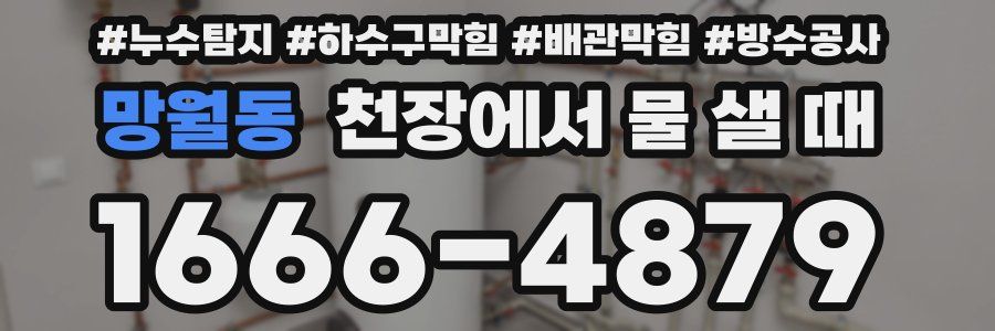 망월동 천장에서 물 샐 때