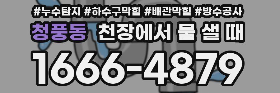 청풍동 천장에서 물 샐 때