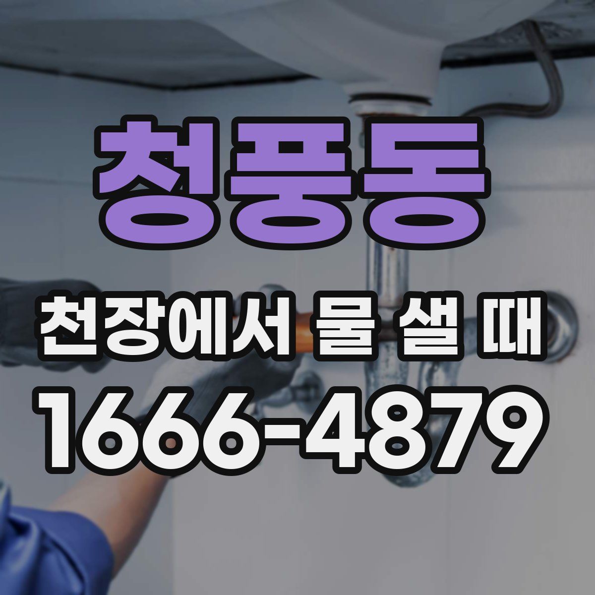 청풍동 천장에서 물 샐 때