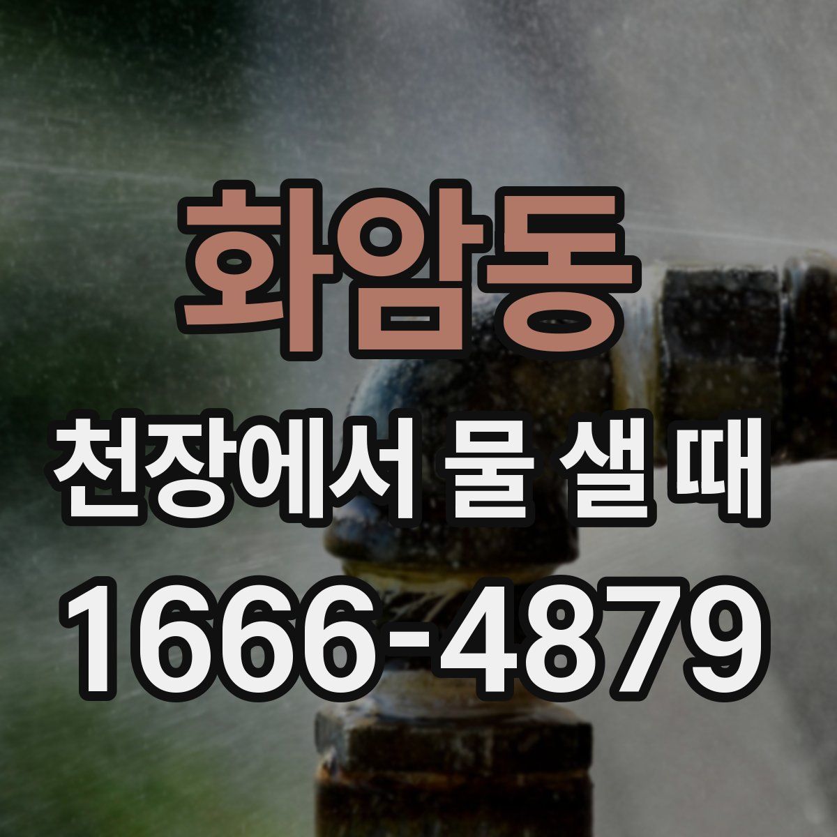 화암동 천장에서 물 샐 때