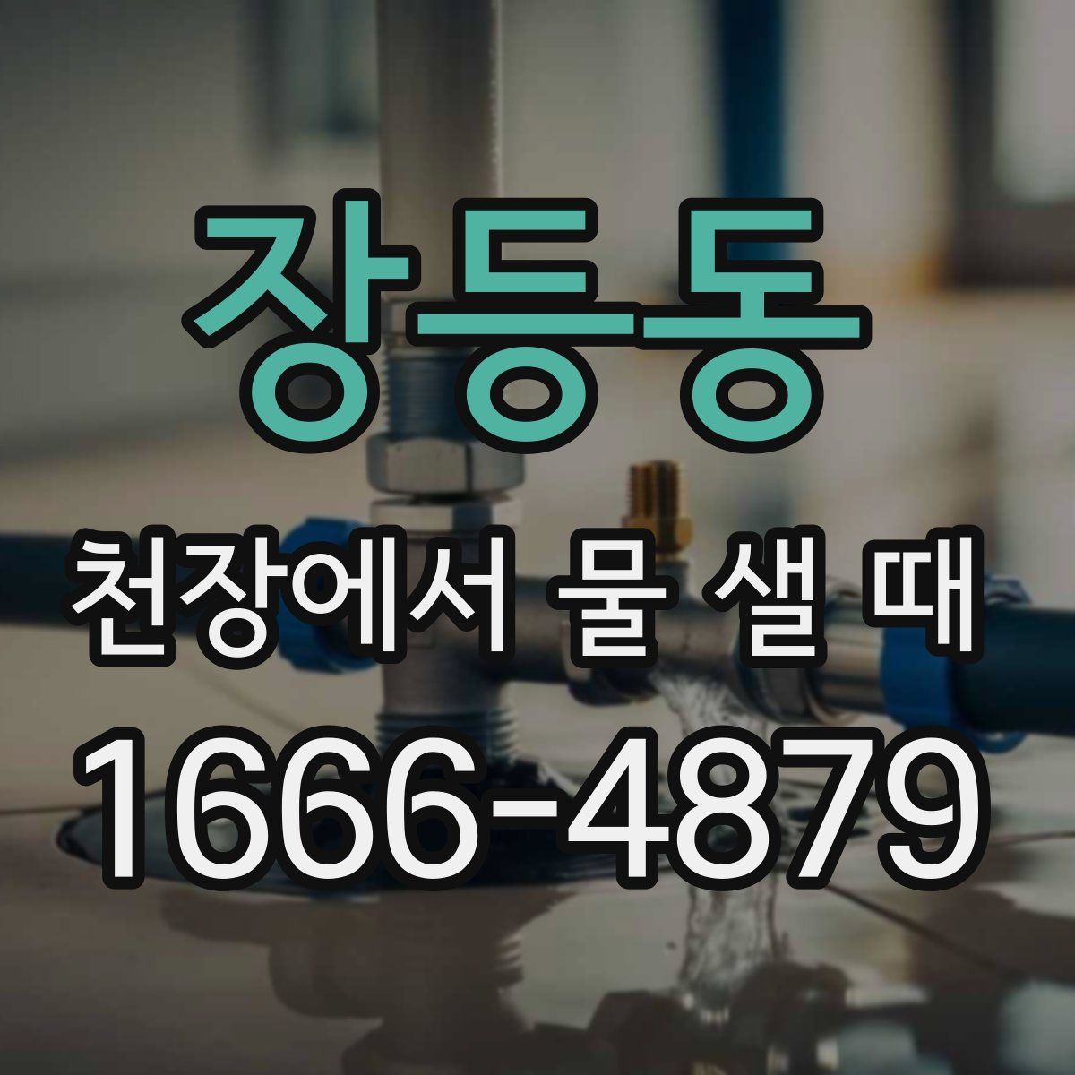 장등동 천장에서 물 샐 때