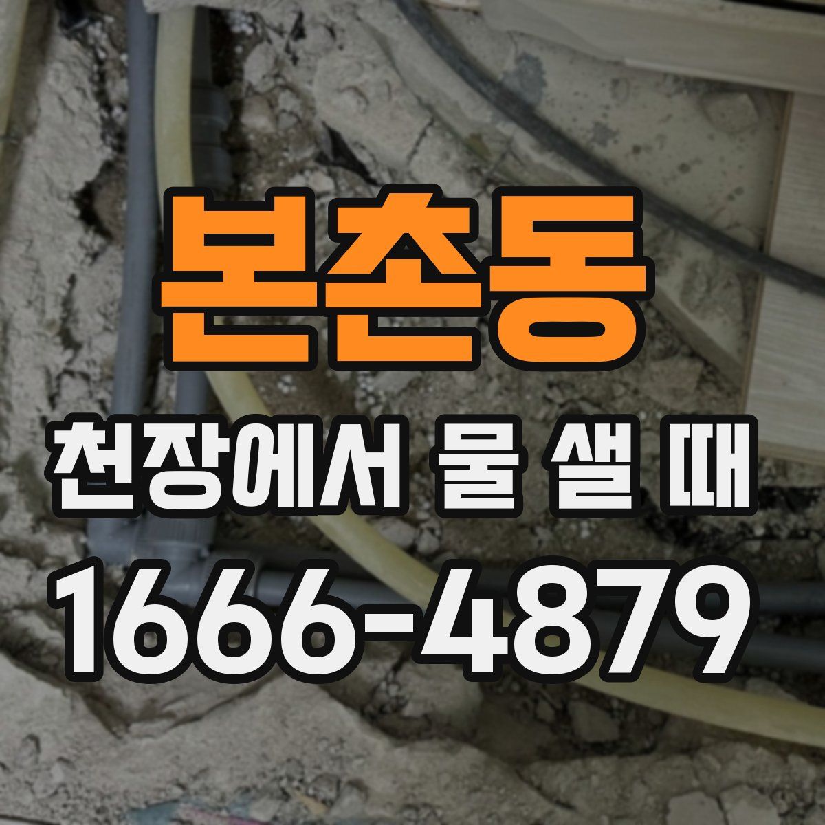 본촌동 천장에서 물 샐 때
