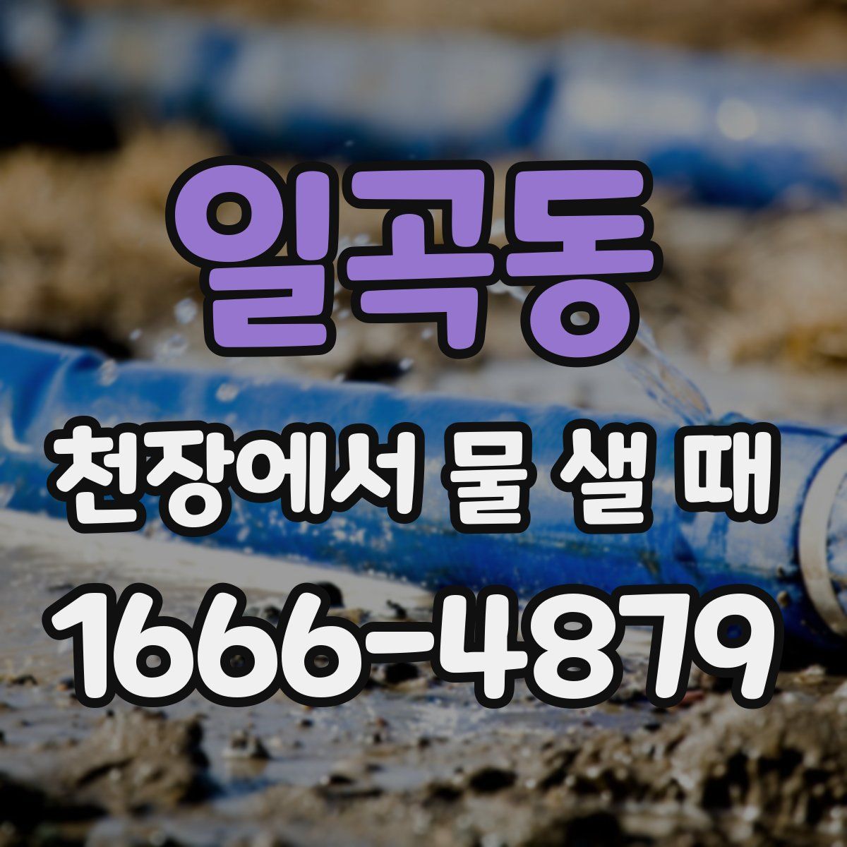 일곡동 천장에서 물 샐 때