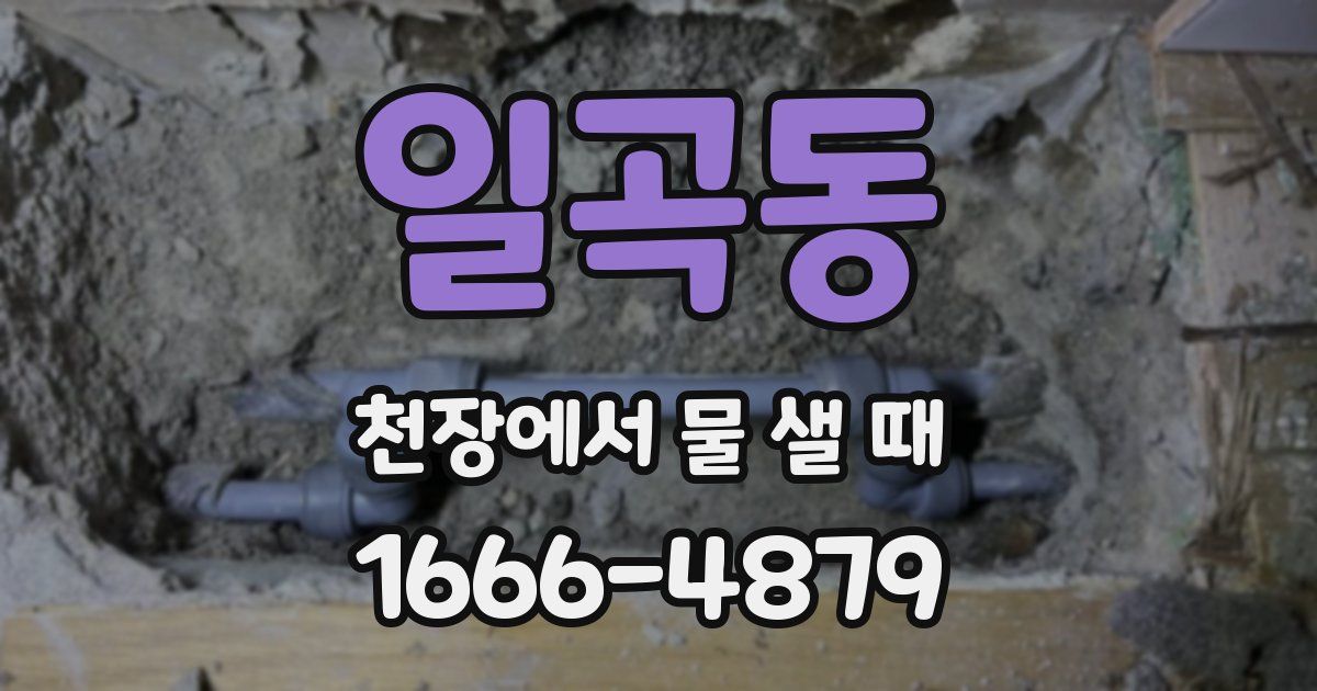 일곡동 천장에서 물 샐 때