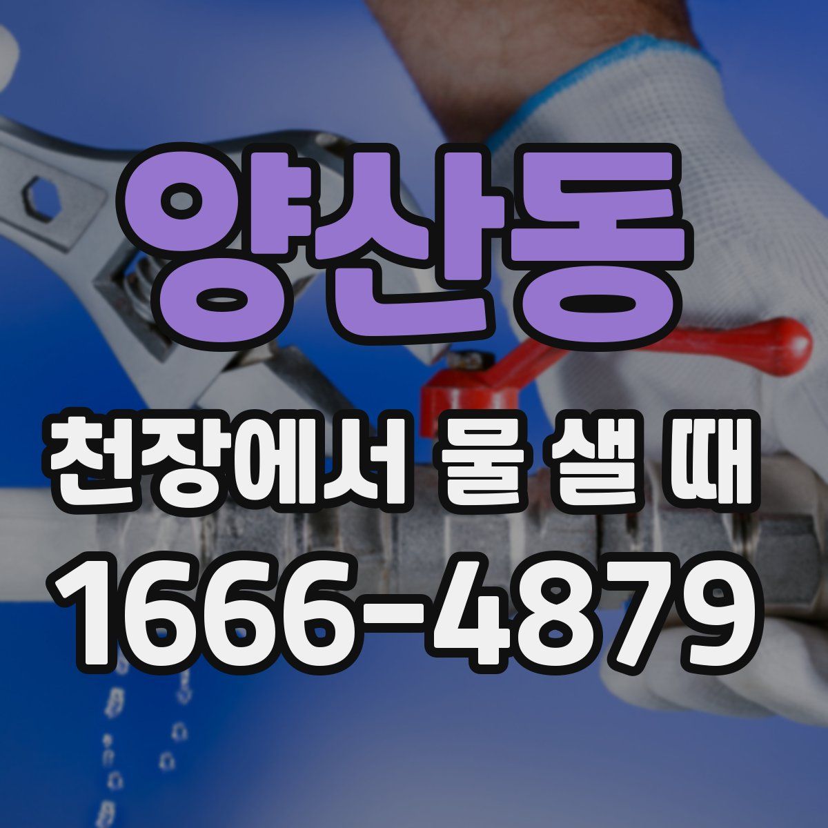 양산동 천장에서 물 샐 때