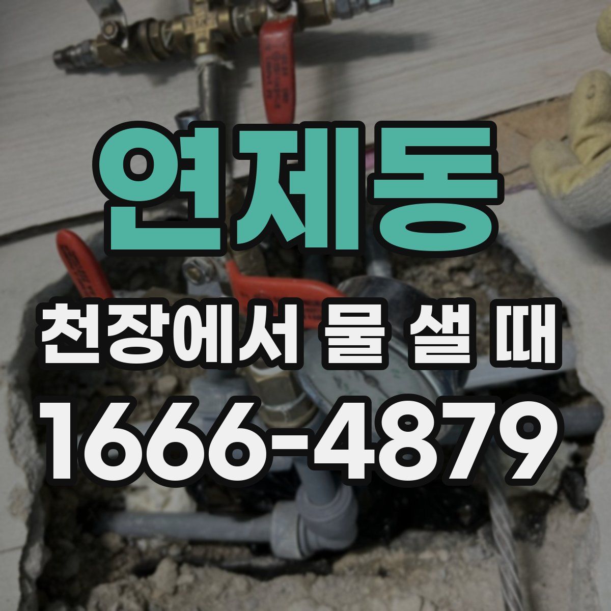 연제동 천장에서 물 샐 때