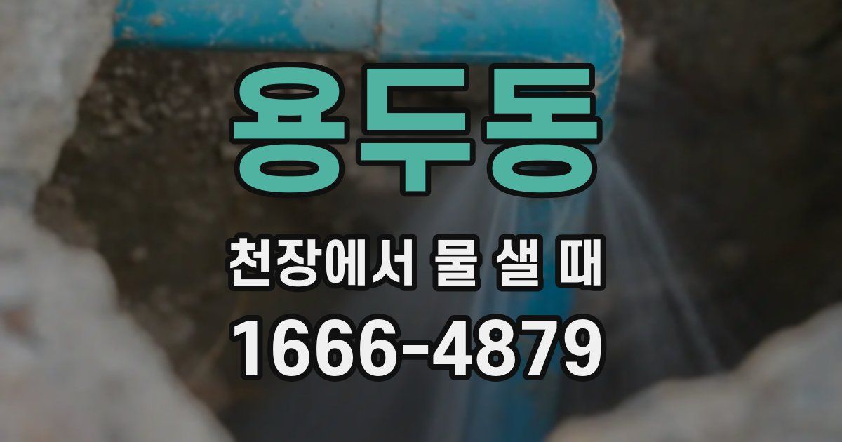 용두동 천장에서 물 샐 때