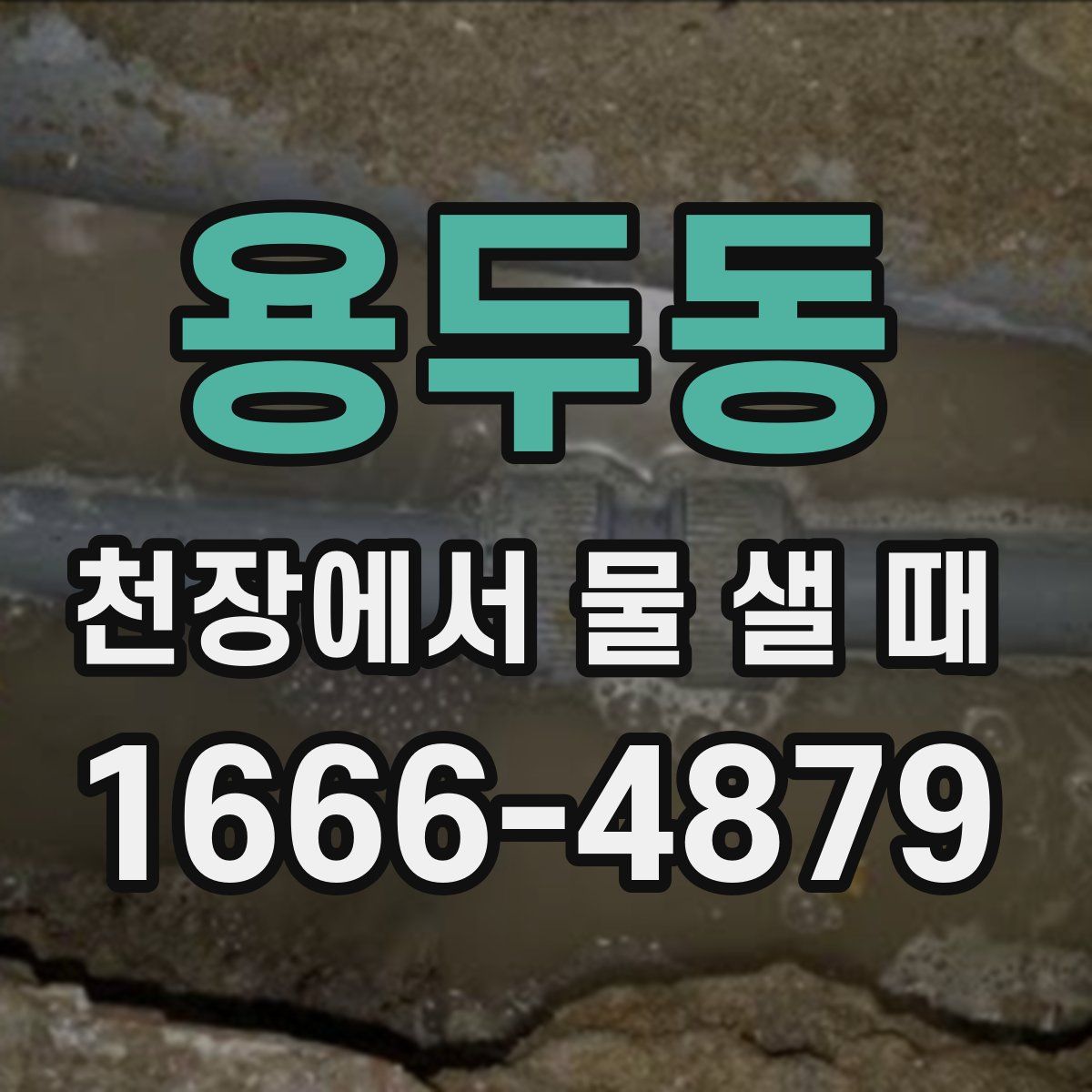 용두동 천장에서 물 샐 때