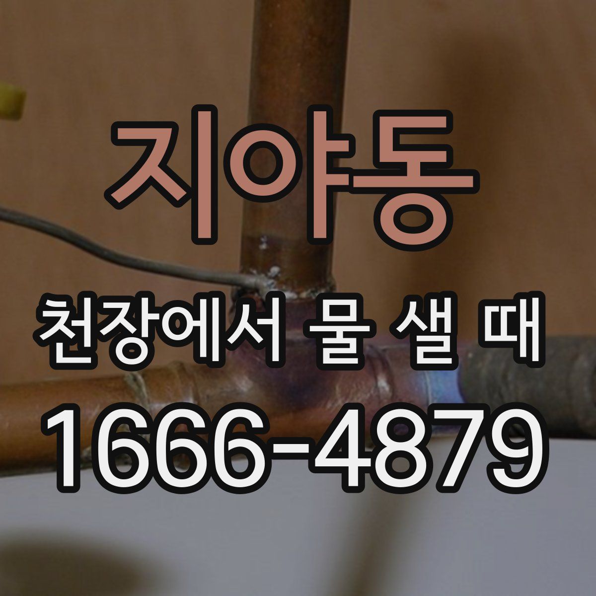 지야동 천장에서 물 샐 때