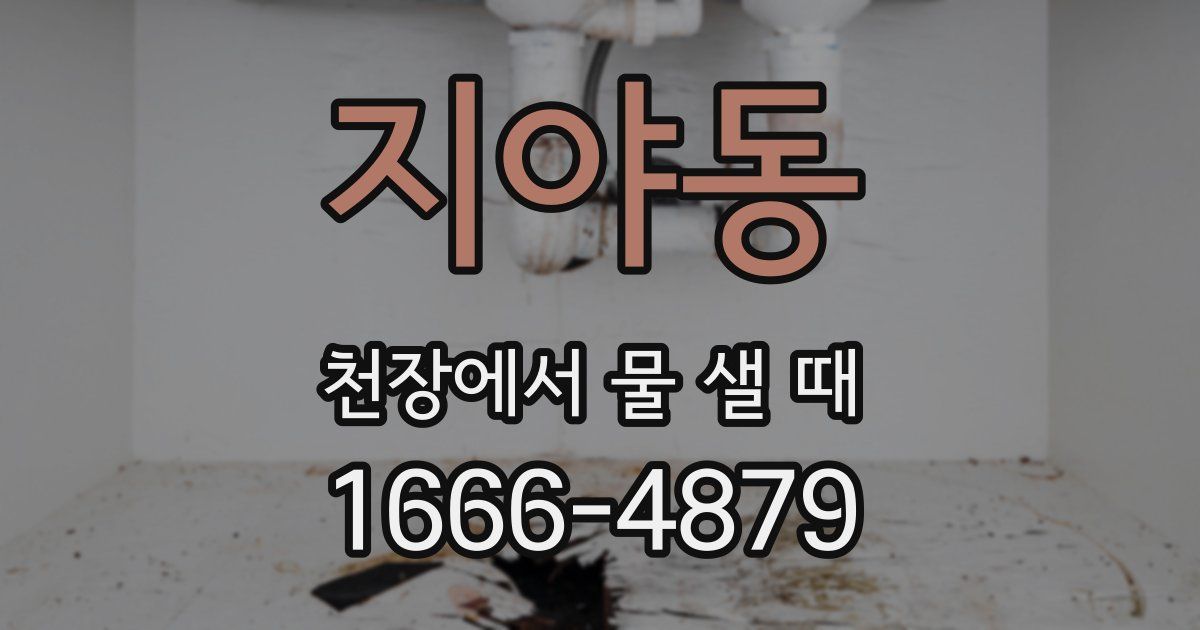 지야동 천장에서 물 샐 때