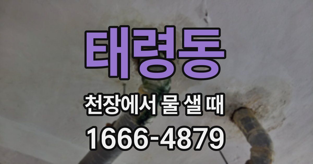 태령동 천장에서 물 샐 때