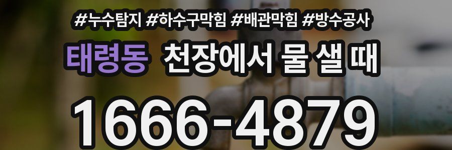 태령동 천장에서 물 샐 때