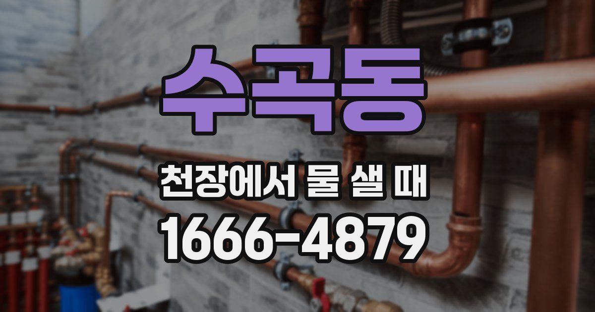 수곡동 천장에서 물 샐 때