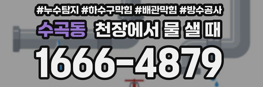 수곡동 천장에서 물 샐 때