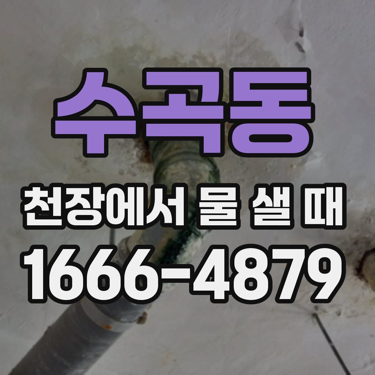 수곡동 천장에서 물 샐 때