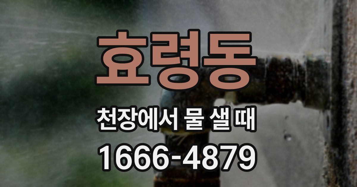효령동 천장에서 물 샐 때
