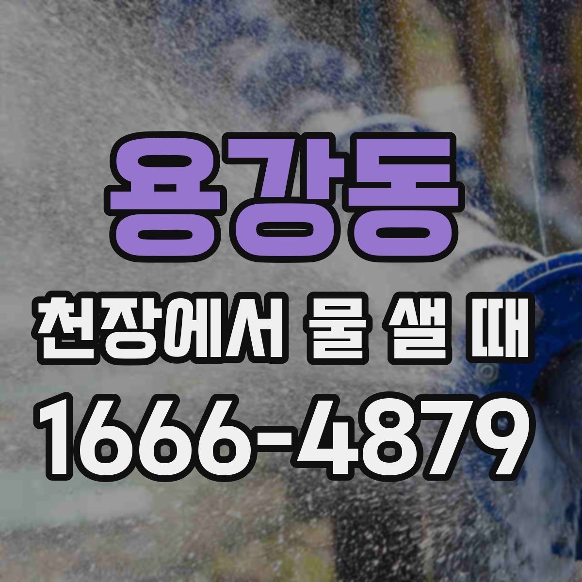 용강동 천장에서 물 샐 때