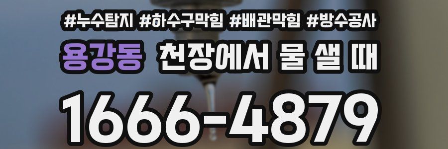 용강동 천장에서 물 샐 때