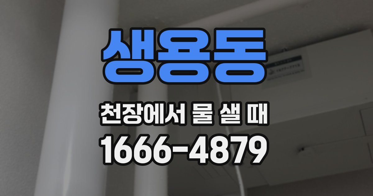 생용동 천장에서 물 샐 때
