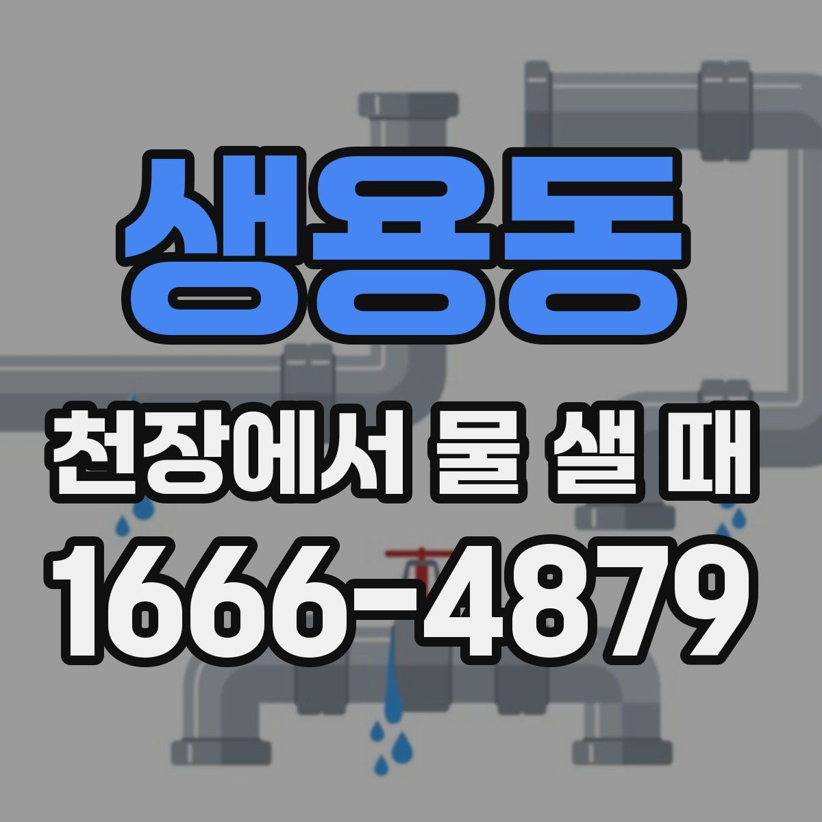 생용동 천장에서 물 샐 때