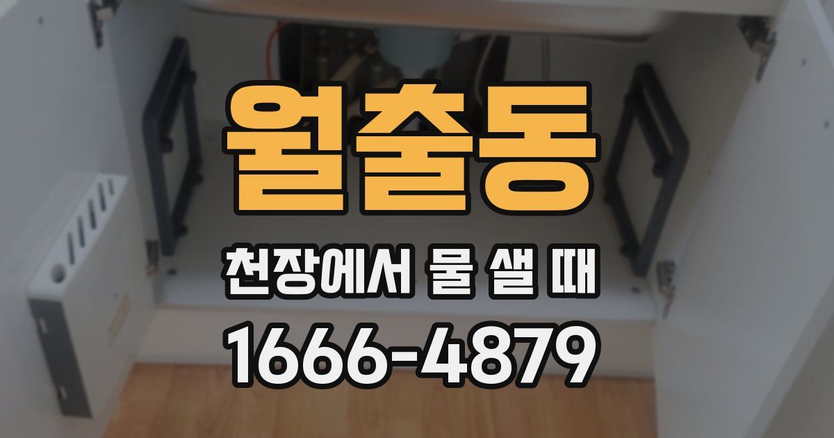 월출동 천장에서 물 샐 때