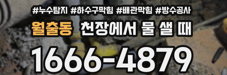월출동 천장에서 물 샐 때