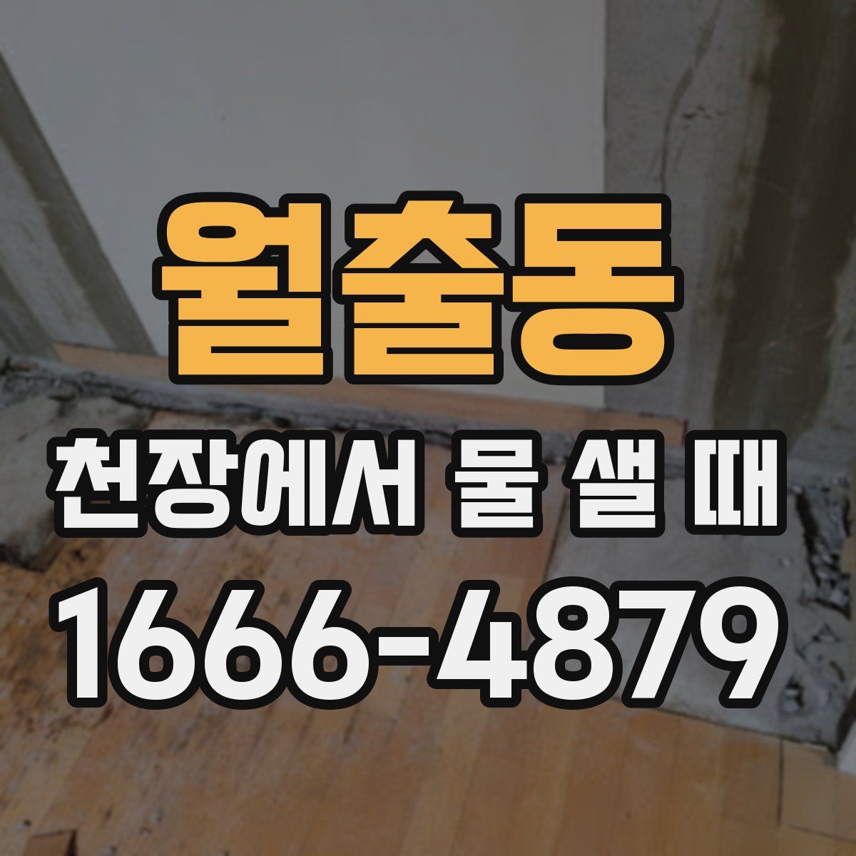 월출동 천장에서 물 샐 때