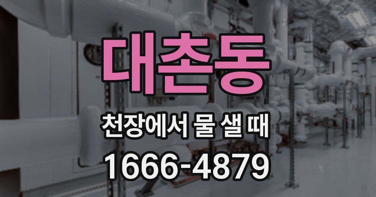 대촌동 천장에서 물 샐 때
