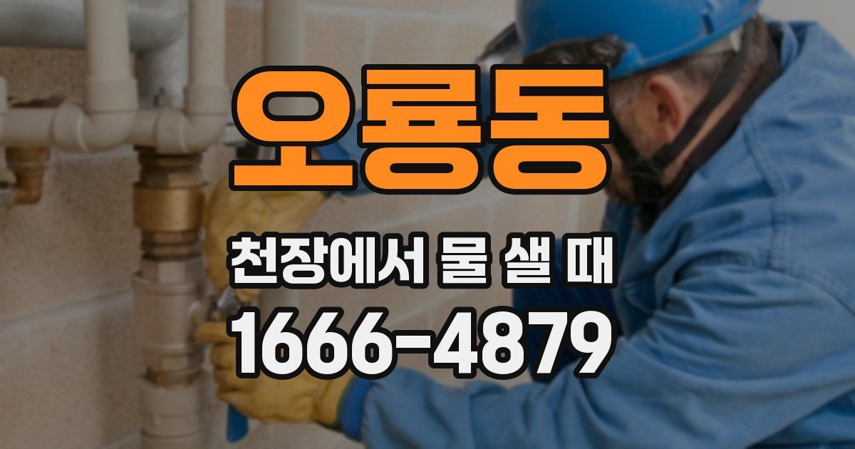 오룡동 천장에서 물 샐 때