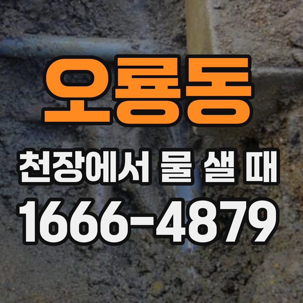 오룡동 천장에서 물 샐 때