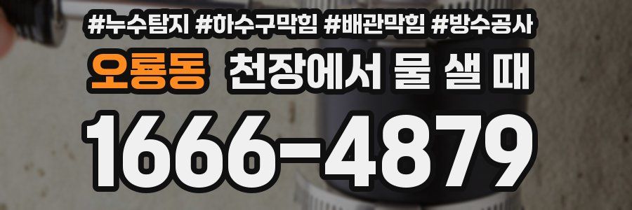 오룡동 천장에서 물 샐 때