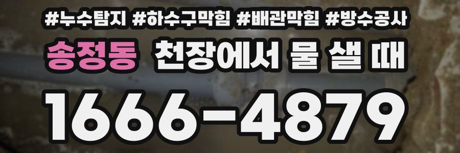 송정동 천장에서 물 샐 때