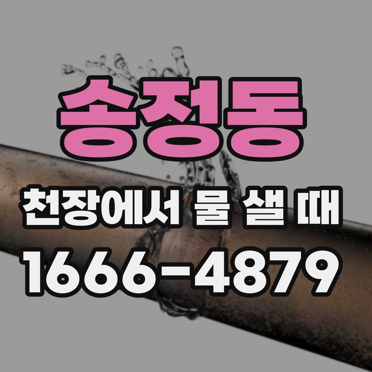 송정동 천장에서 물 샐 때