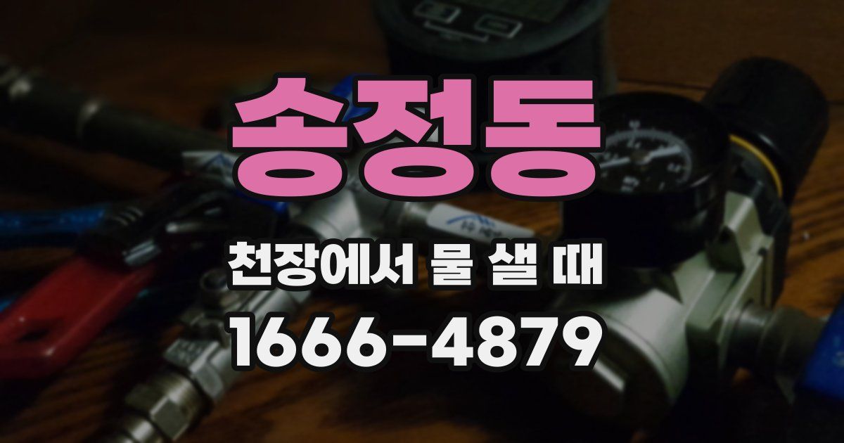 송정동 천장에서 물 샐 때
