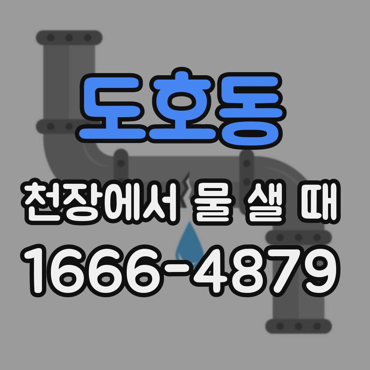 도호동 천장에서 물 샐 때