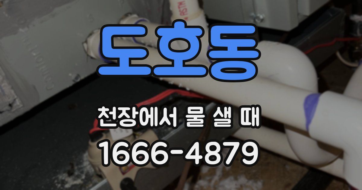 도호동 천장에서 물 샐 때