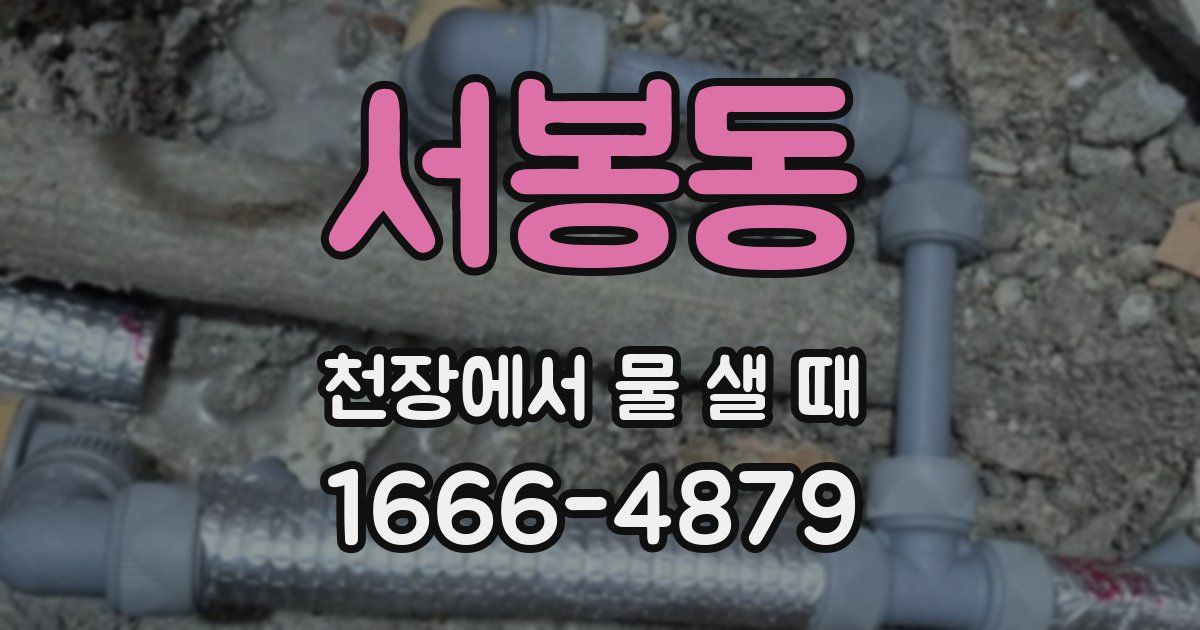 서봉동 천장에서 물 샐 때