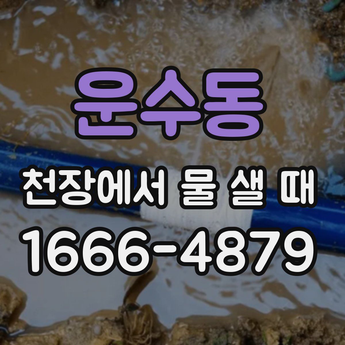 운수동 천장에서 물 샐 때