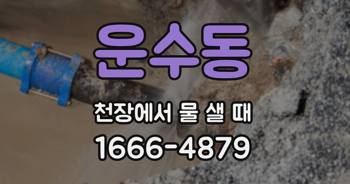 운수동 천장에서 물 샐 때
