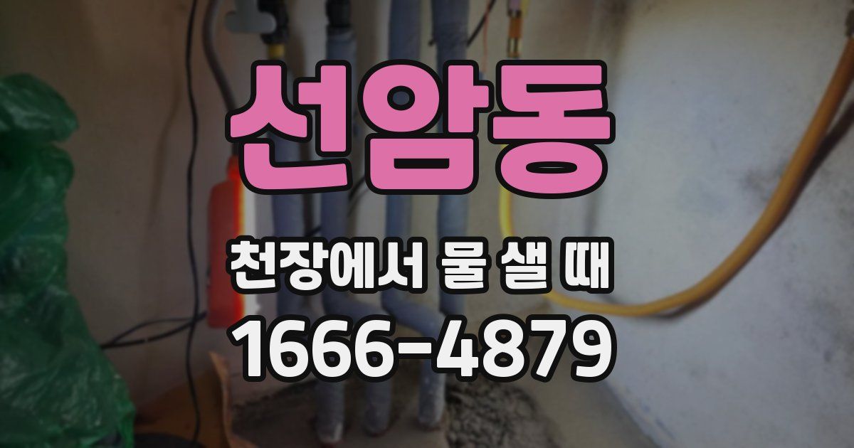 선암동 천장에서 물 샐 때