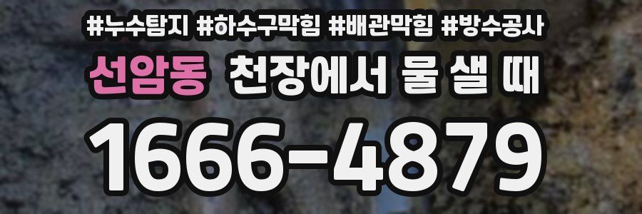 선암동 천장에서 물 샐 때