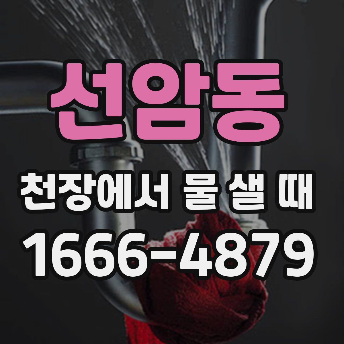 선암동 천장에서 물 샐 때