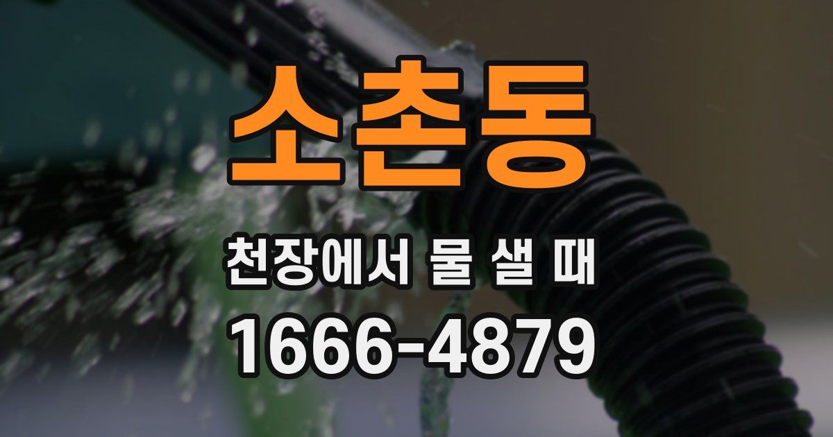 소촌동 천장에서 물 샐 때
